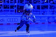 Eishockey, Herren, DEL, Saison 2026-2027, Spieltag 8, ERC Ingolstadt - Löwen Frankfurt, 11.10.2026