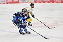 Eishockey, Frauen, DFEL, Saison 2023-2024, ERC Ingolstadt - Mad Dogs Mannheim, 18.02.2024