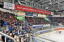 ERC Ingolstadt vs Grizzlys Wolfsburg, Eishockey, DEL, Deutsche Eishockey Liga, 31.01.2016