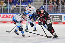 Eishockey, Herren, DEL, Saison 2024-2025, Spieltag 39, Straubing Tigers - ERC Ingolstadt, 24.01.2025