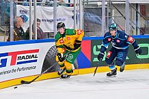 Hockey, Mens, CHL, Season 2025-2026, Regular Season, Game Day 1, ERC Ingolstadt - Ilves Tampere, 28.08.2025