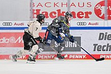 Eishockey, Herren, DEL, Saison 2023-2024, Spieltag 51, ERC Ingolstadt - Kölner Haie, 03.03.2024