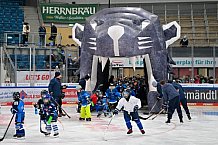 Eishockey, Saison 2025-2026, ERC Ingolstadt - Kids On Ice Day, 29.11.2025