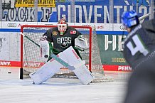 Eishockey, Herren, DEL, Saison 2023-2024, Spieltag 35, ERC Ingolstadt - Augsburger Panther, 05.01.2024