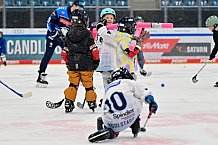 Eishockey, Saison 2025-2026, ERC Ingolstadt - Kids On Ice Day, 10.01.2026