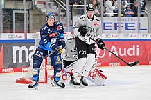 Eishockey, Herren, DEL, Saison 2024-2025, Spieltag 36, ERC Ingolstadt - Kölner Haie, 12.01.2025