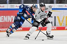 Eishockey, Herren, DEL, Saison 2024-2025, Spieltag 42, ERC Ingolstadt - Kölner Haie, 31.01.2025