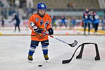 Eishockey, Herren, DEL, Saison 2024-2025, ERC Ingolstadt - Kids On Ice Day, 21.09.2024