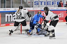 Eishockey, Frauen, DFEL, Saison 2023-2024, ERC Ingolstadt - Amsterdam Tigers, 06.01.2024