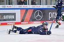 Eishockey, Herren, DEL, Saison 2024-2025, Spieltag 15, ERC Ingolstadt - Augsburger Panther, 03.11.2024