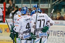 ERC Ingolstadt vs Augsburger Panther, Eishockey, DEL, Deutsche Eishockey Liga, Spieltag 21, 23.11.2016


