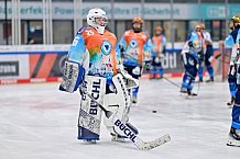 Eishockey, Frauen, DFEL, Saison 2024-2025, ERC Ingolstadt - Mad Dogs Mannheim, 23.11.2024