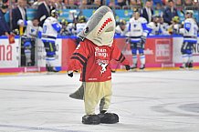 Koelner Haie vs ERC Ingolstadt, DEL, Deutsche Eishockey Liga, Playoffs, Viertelfinale, Spiel 7, 31.03.2019