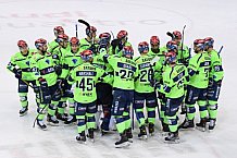 Eishockey, Herren, DEL, Saison 2020-2021, ERC Ingolstadt - Straubing Tigers, 13.02.2021