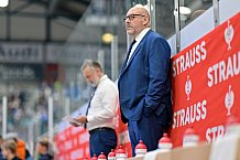 Hockey, Mens, CHL, Season 2025-2026, Regular Season, Round of 16, ERC Ingolstadt - EC Red Bull Salzburg, 12.11.2025