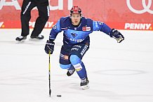 Eishockey, Herren, DEL, Saison 2020-2021, ERC Ingolstadt - Schwenninger Wild Wings, 19.01.2021