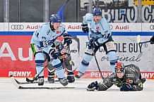 Eishockey, Herren, DEL, Saison 2023-2024, Spieltag 30, ERC Ingolstadt - Straubing Tigers, 23.12.2023