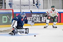 Eishockey, Mens, CHL, Season 2023-2024, ERC Ingolstadt - Färjestad Karlstad, 02.09.2023