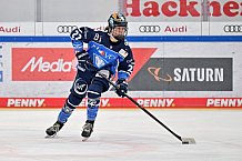 Eishockey, Frauen, DFEL, Saison 2023-2024, ERC Ingolstadt - Mad Dogs Mannheim, 18.02.2024