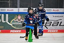 Eishockey, Herren, DEL, Saison 2024-2025, ERC Ingolstadt - Kids On Ice Day, 11.01.2025