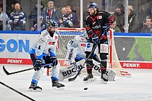 Eishockey, Herren, DEL, Saison 2024-2025, Spieltag 39, Straubing Tigers - ERC Ingolstadt, 24.01.2025
