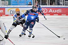 Eishockey, Herren, DEL, Saison 2023-2024, Playoffs Viertelfinale - Spiel 2, ERC Ingolstadt - Fischtown Pinguins , 20.03.2024