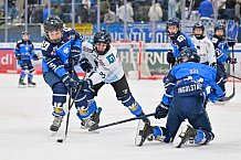 Eishockey, Herren, DEL, Saison 2024-2025, Spieltag 45, ERC Ingolstadt - Iserlohn Roosters, 16.02.2025