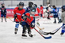Eishockey, Saison 2025-2026, ERC Ingolstadt - Kids On Ice Day, 10.01.2026