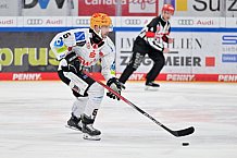 Eishockey, Herren, DEL, Saison 2023-2024, Spieltag 45, ERC Ingolstadt - Fischtown Pinguins, 27.02.2024
