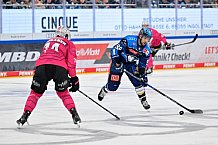 Eishockey, Herren, DEL, Saison 2025-2026, Spiel 11, ERC Ingolstadt - Nürnberg Ice Tigers, 17.10.2025