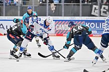 Eishockey, Herren, DEL, Saison 2026-2027, Spieltag 4, ERC Ingolstadt - Adler Mannheim, 27.09.2026
