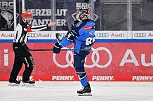 Eishockey, Herren, DEL, Saison 2023-2024, Spieltag 45, ERC Ingolstadt - Fischtown Pinguins, 27.02.2024