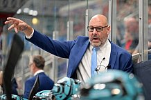 Hockey, Mens, CHL, Season 2025-2026, Regular Season, Game Day 2, ERC Ingolstadt - Kalpa Kuopio, 30.08.2025