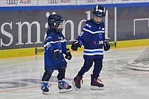 ERC Ingolstadt vs Krefeld Pinguine, DEL, Deutsche Eishockey Liga, Spieltag 39, 19.01.2020