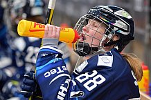 Eishockey, Frauen, DFEL, Saison 2021-2022, ERC Ingolstadt - Mad Dogs Mannheim, 24.10.2021