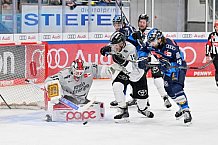 Eishockey, Herren, DEL, Saison 2024-2025, Spieltag 36, ERC Ingolstadt - Kölner Haie, 12.01.2025