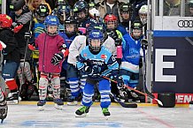 Eishockey, Herren, DEL, Saison 2023-2024, ERC Ingolstadt - Kids on Ice Day, 18.11.2023