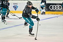Eishockey, Herren, DEL, Saison 2026-2027, ERC Ingolstadt - HC Verva Litvinov - Steinbach Black Wings Linz, 22.08.2026