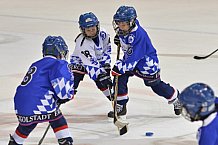 ERC Ingolstadt vs Straubing Tigers, Eishockey, DEL, Deutsche Eishockey Liga, 22.12.2015