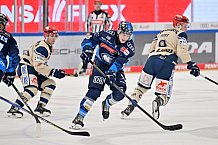 Eishockey, Herren, DEL, Saison 2024-2025, Spieltag 28, ERC Ingolstadt - Schwenninger Wild Wings, 20.12.2024