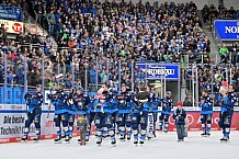 Eishockey, Herren, DEL, Saison 2024-2025, Spieltag 36, ERC Ingolstadt - Kölner Haie, 12.01.2025