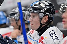 Eishockey, Herren, DEL, Saison 2024-2025, Vorbereitung, ERC Ingolstadt - Dresdner Eislöwen, 18.08.2024