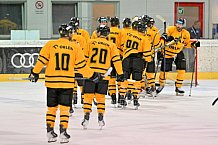 Eishockey, Herren, DEL, Saison 2026-2027, ERC Ingolstadt - HC Verva Litvinov - Steinbach Black Wings Linz, 22.08.2026