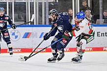Eishockey, Herren, DEL, Saison 2024-2025, Spieltag 15, ERC Ingolstadt - Augsburger Panther, 03.11.2024