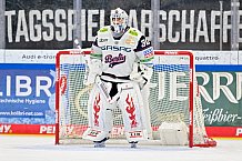 Eishockey, Herren, DEL, Saison 2025-2026, Spiel 29, ERC Ingolstadt - Eisbären Berlin, 18.12.2025