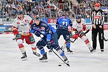 Eishockey, Herren, DEL, Saison 2023-2024, Spieltag 46, ERC Ingolstadt - Düsseldorfer EG, 15.02.2024