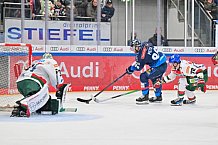 Eishockey, Herren, DEL, Saison 2024-2025, Spieltag 35, ERC Ingolstadt - Augsburger Panther, 10.01.2025