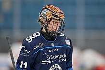 Eishockey, Frauen, DFEL, Saison 2024-2025, ERC Ingolstadt - EC Bergkamener Bären, 12.10.2024