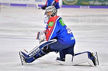 ERC Ingolstadt vs Adler Mannheim, DEL, Deutsche Eishockey Liga, Spieltag 46, 15.02.2019
