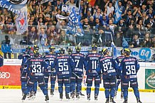 ERC Ingolstadt - Krefeld Pinguine, Eishockey, DEL, Deutsche Eishockey Liga, Spieltag 34, 05.01.2016, Foto: st-foto.de / Oliver STRISCH